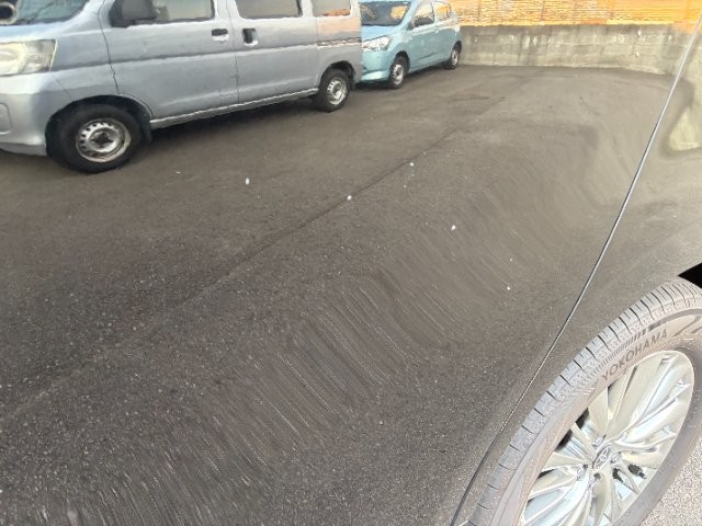 e0beafdda86fc6075acf5f91fbf9559b.jpg