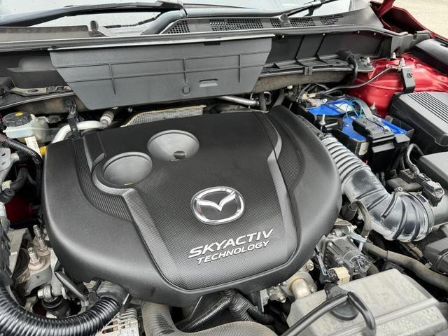 0cb166855f7697b60f6dc3d97b65fb26.jpg