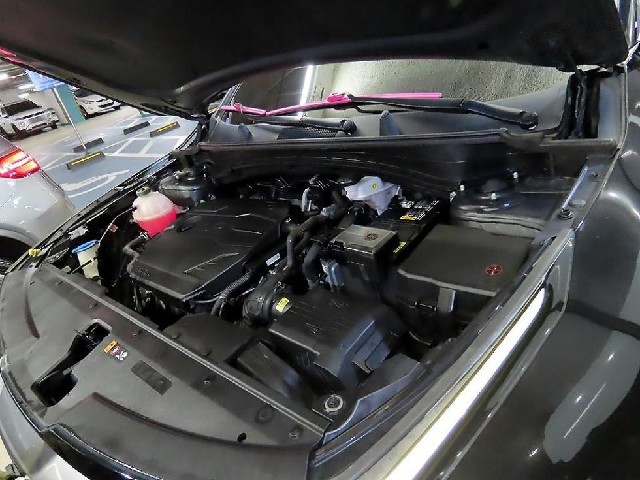 b19f3cc5f1756615366586edc6f79c49.jpeg