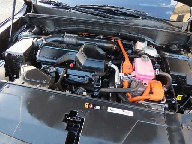626f1414c081539cb9dacdd5090f5231.jpeg