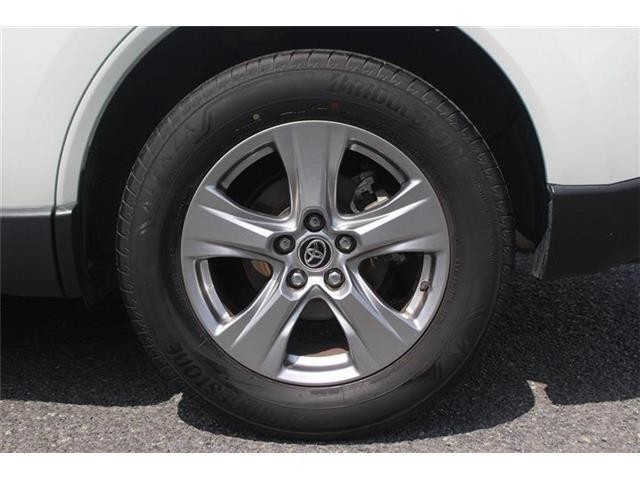 c45532ff70462aa37d0f3aed07275466.jpg