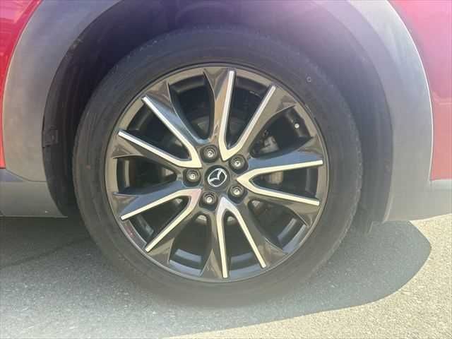 a28daa95b0ae83003bd13a1d59528626.jpg