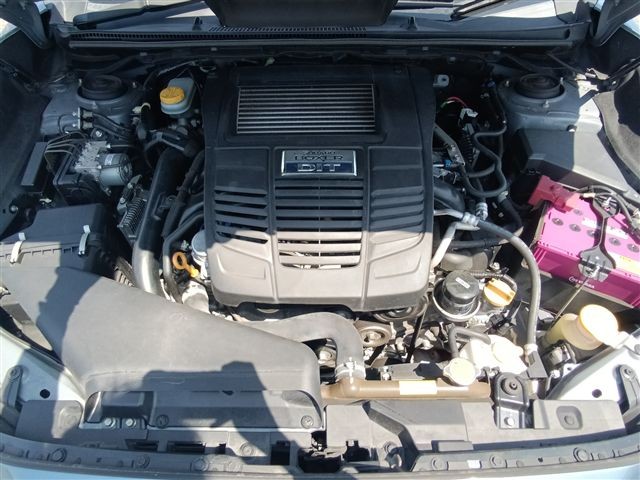 08.jpg