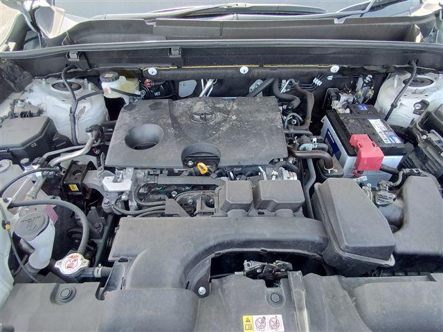 08.jpg