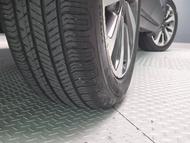 225fa5f8b2635f448e4b7c1ede5a67b2.jpeg