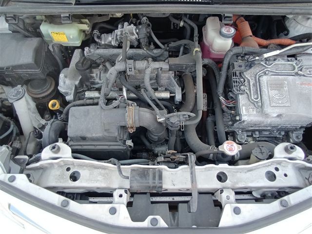 08.jpg