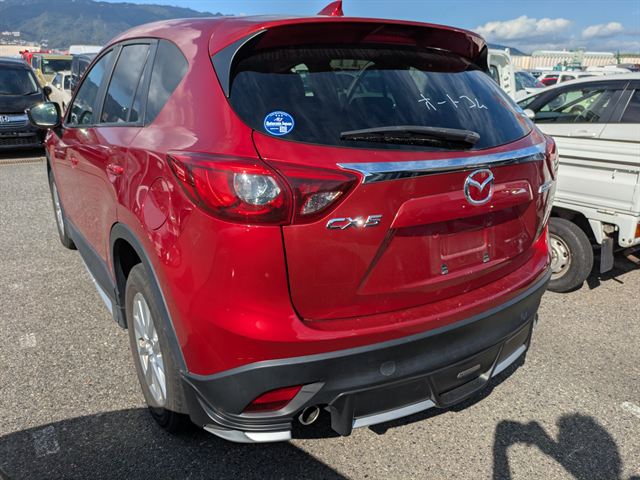 05.jpg