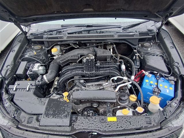 08.jpg
