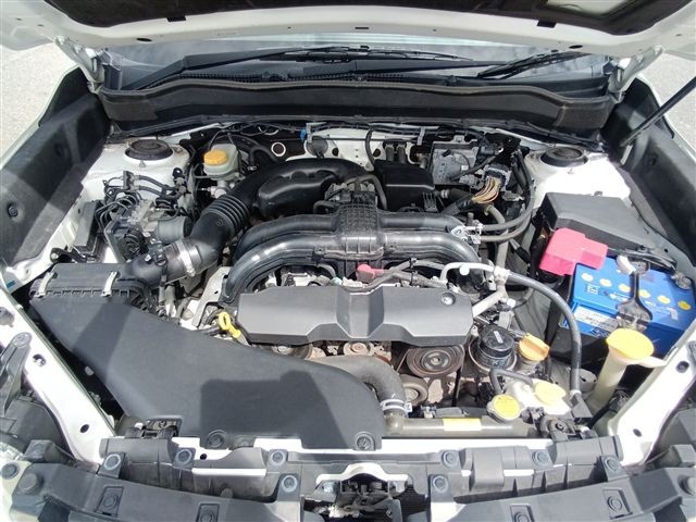 08.jpg