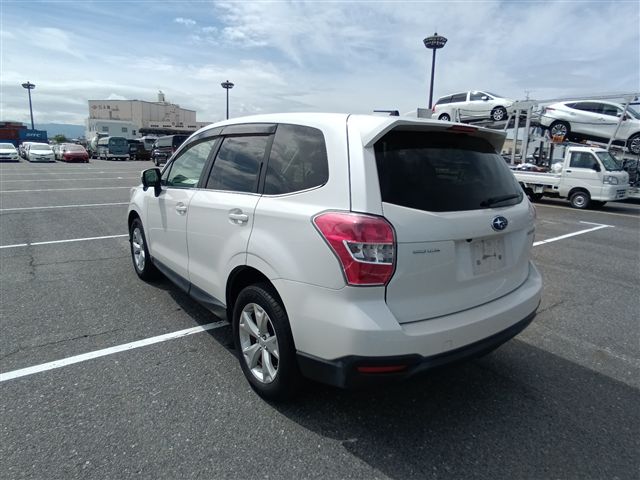 05.jpg