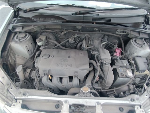 08.jpg