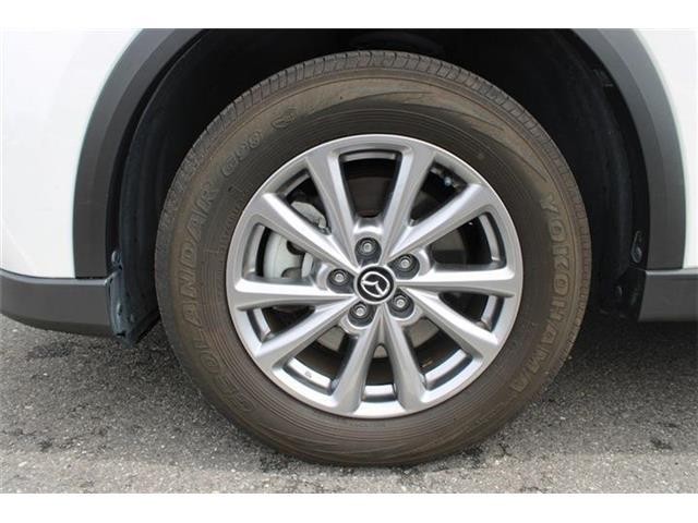 99470d7108002a8342b19292af114530.jpg