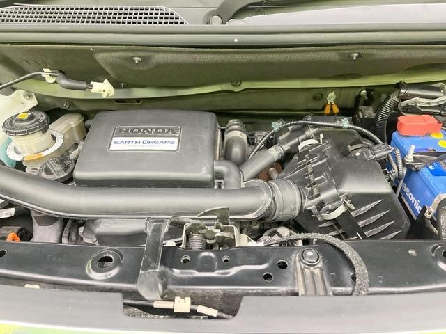 25384278_carP_l_16.jpg
