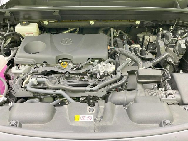6ce59a6b175b18687eda3a9521a72456.jpg