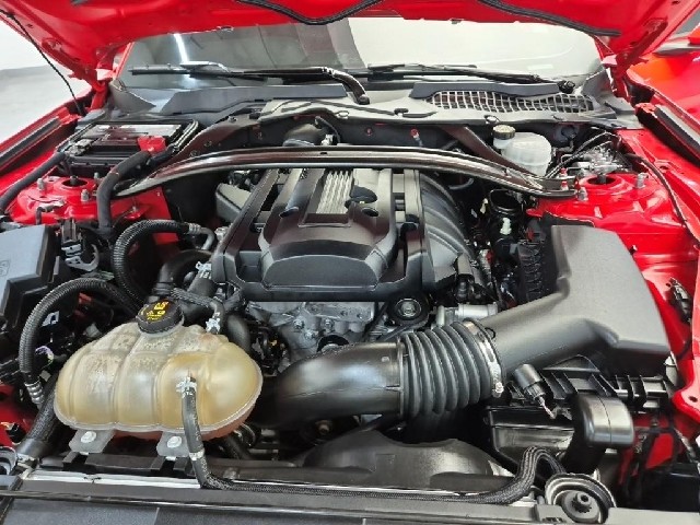 6101501802R5.jpg