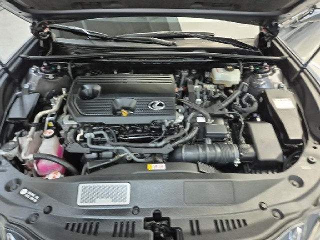 6101501634R5.jpg