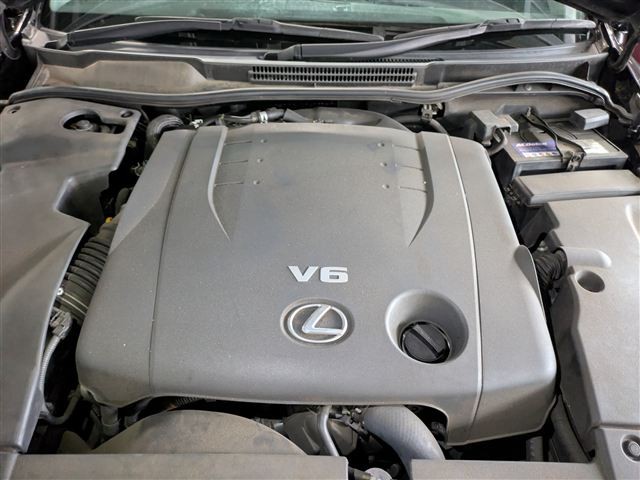 08.jpg