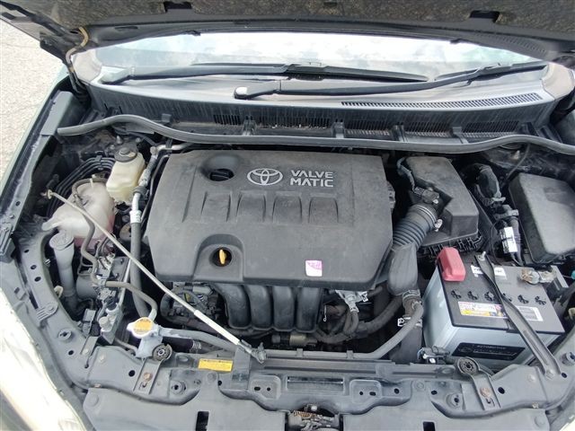 08.jpg