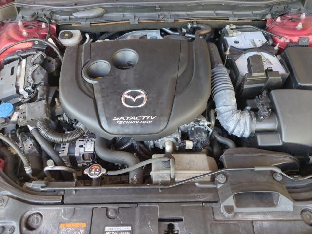 27009678_carP_l_17.jpg