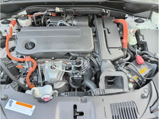 9f757b084a9dd9edf3c76e5e3081b100.jpg