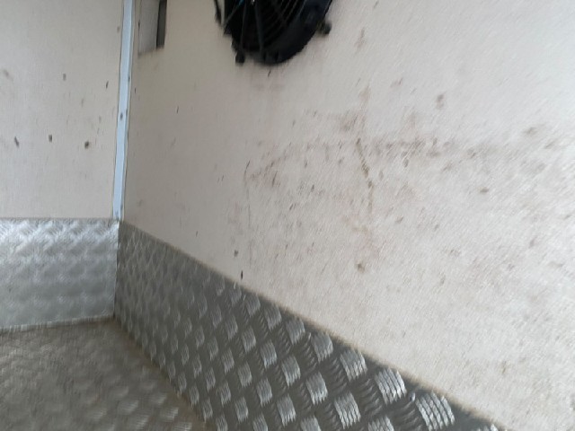 e0f60bed2314a4992bada9eb1271cf4e.jpeg