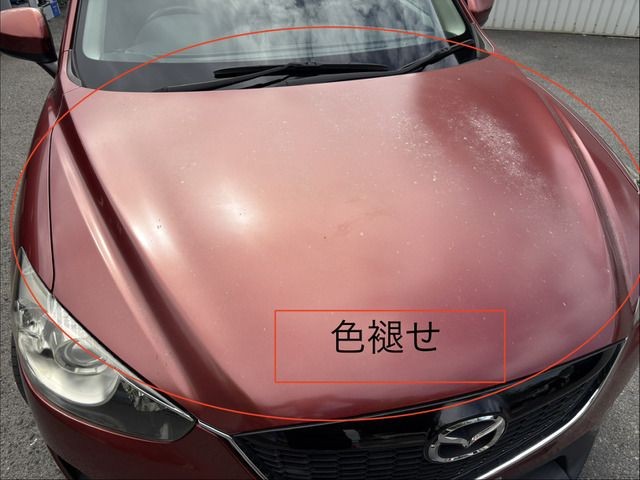 f6002c09ad6286fe7c22654aec180ae1.jpg