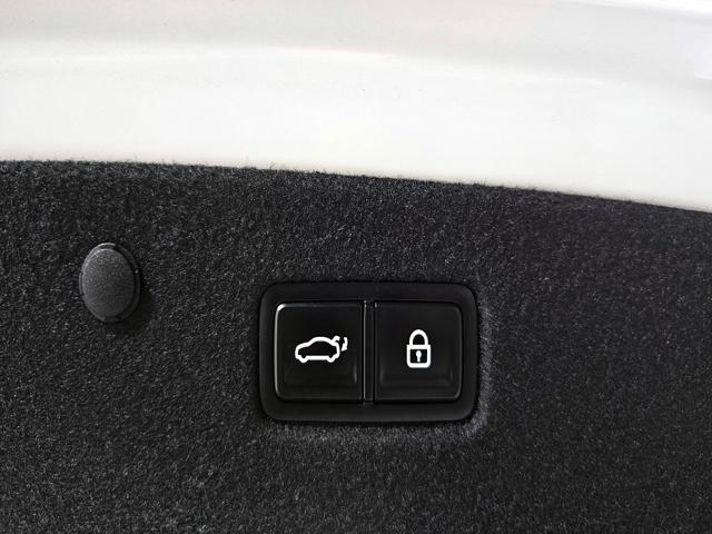 c7f6f2622e78cbe1c5eb195ee796d28e.jpeg