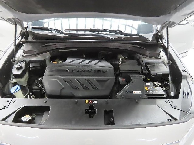 65dcab3317c4fc558ccee003f8551b12.jpeg