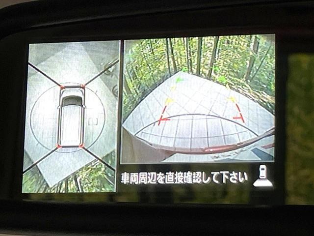 26947144_carP_l_10.jpg