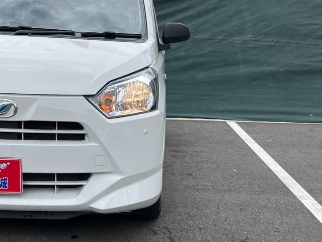 16cf268e6fcf03cffbb3ac208764c353.jpg
