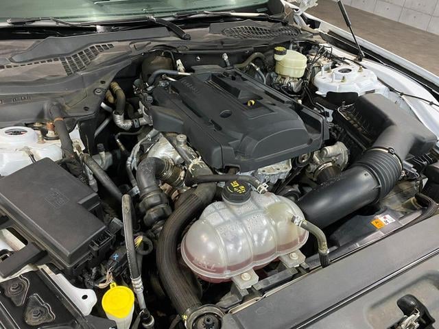 0709223A30250218W00118.jpg