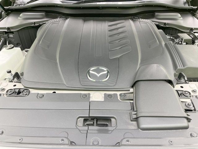 62e282b1393cf83e4d8f9d30afa4d337.jpg