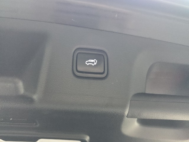 e43e690003cf3905cf99dfc299ceb4c5.jpeg