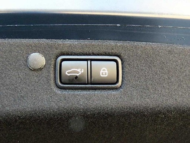 4d32407146771191a392236bf6e77125.jpeg