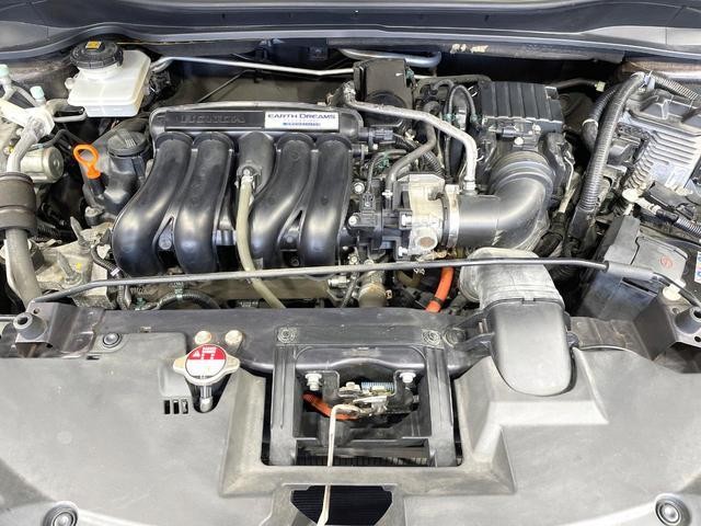 27011977_carP_l_16.jpg