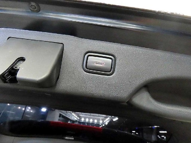 56399da99ab1c06de6835aac29e05c0e.jpeg