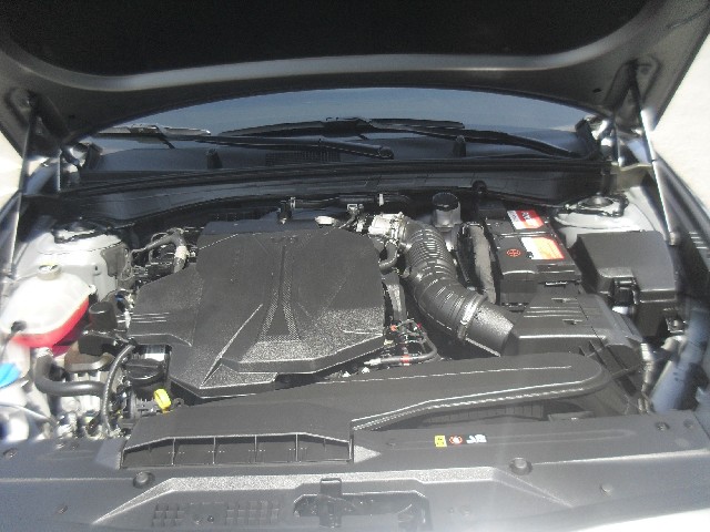 3ae82ad05fe08fb0ab0a8e04264d5d08.jpeg