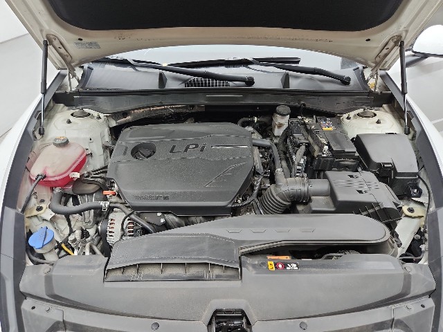 lotterental_154114506_O4LUb_8.jpg