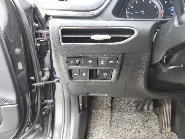 lotterental_102423332_65wng_7.jpg