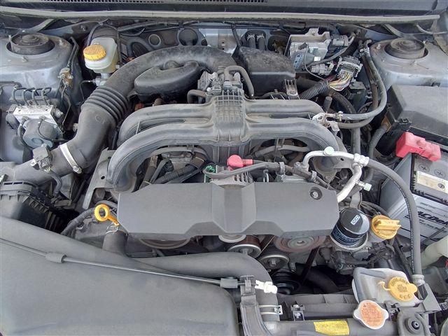 08.jpg