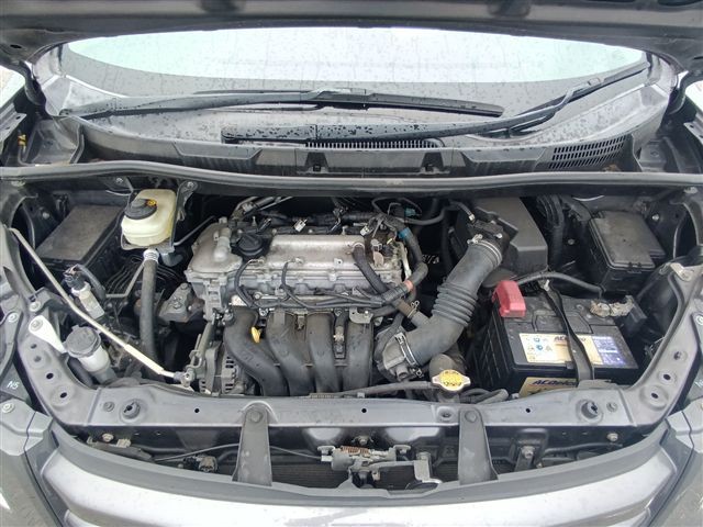 08.jpg