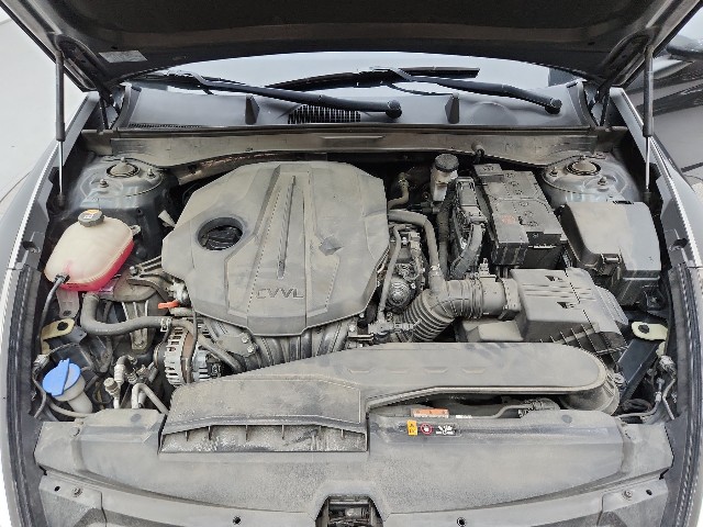 lotterental_174725219_0tk0S_8.jpg