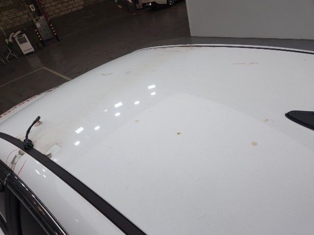 lotterental_211301773_KHMy9_6.jpg