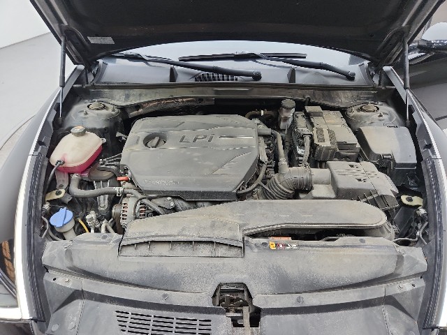 lotterental_222337899_ab87k_8.jpg