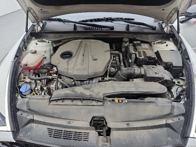 lotterental_221211102_spYUv_7.jpg
