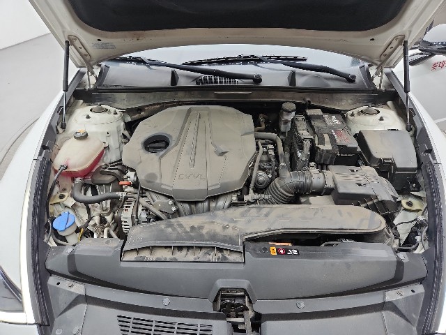 lotterental_233043237_7O0xP_7.jpg