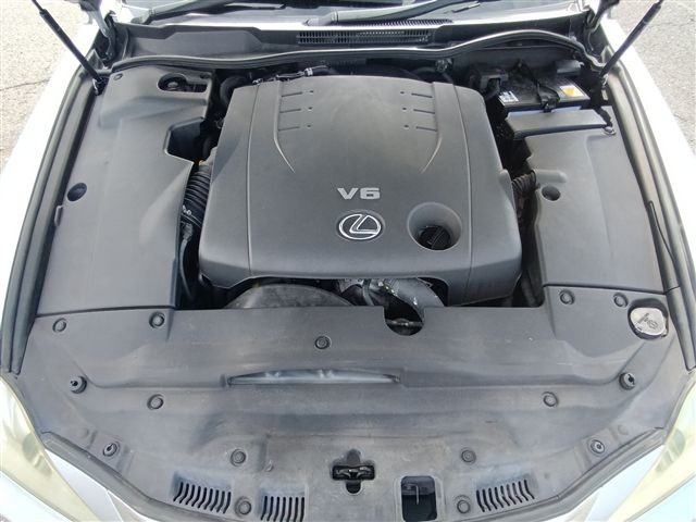 08.jpg