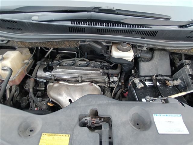 08.jpg