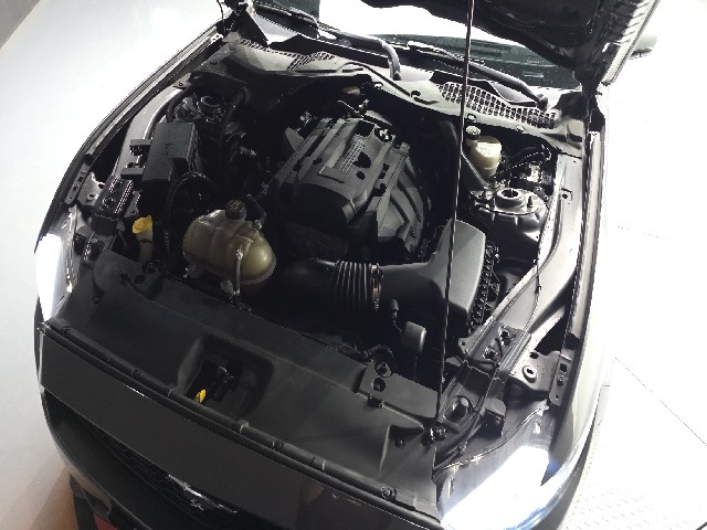 471b2c3878256840bfc5d59ae87deea6.jpeg