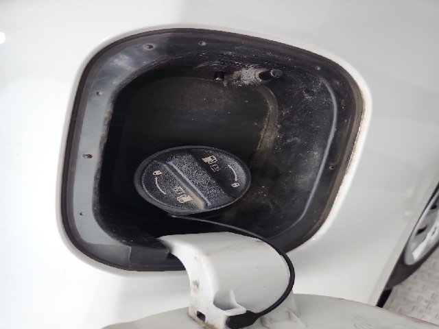 lotterental_211049424_BRJdo_7.jpg